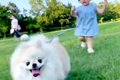 2歳の女の子が、生ま…の画像