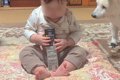 『赤ちゃんが危なっ…の画像