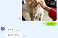 LINEで『犬にご飯を…の画像