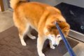 病院で診察を拒否す…の画像