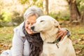 なぜ犬は『女性が好…の画像