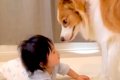 赤ちゃんと目が合わ…の画像