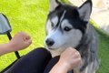 『どっちの手に入っ…の画像