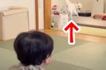 赤ちゃんが『別の部…の画像