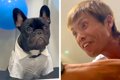 犬を飼うのに反対し…の画像