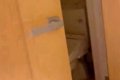 叱ったらトイレへ向…の画像