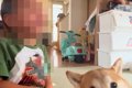 小さな男の子が『犬…の画像