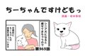 ちーちゃんですけど…の画像