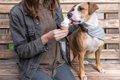 犬の飼い主がよくや…の画像