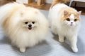 夜0時、普段は違う場…の画像