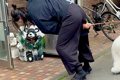 病院が大嫌いな超大…の画像