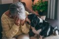 犬は『人間の表情』…の画像