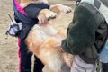 遊びに夢中で呼んで…の画像