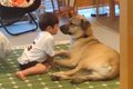 男の子を警戒してい…の画像