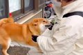 家に『新聞屋さん』…の画像