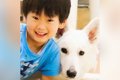 『男の子と大型犬の…の画像
