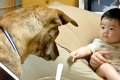 初めて赤ちゃんに近…の画像