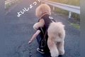 歩くのに疲れて『お…の画像