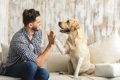 『犬が大好きな人』…の画像
