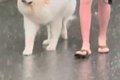台風のため、パパが…の画像