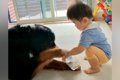 超大型犬が持つ『ペ…の画像