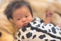 赤ちゃんが大型犬と…の画像