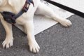 『絶対に帰りたくな…の画像
