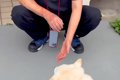 『かかりつけの獣医…の画像