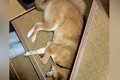 冷暖房もない『ビル…の画像
