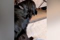 急に立てなくなった…の画像