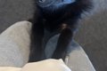 生まれて初めて『セ…の画像