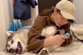 大型犬が寝ている隙…の画像
