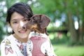 犬を飼ったら必ず近…の画像