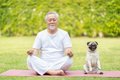 犬を飼っていると『…の画像