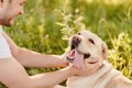 犬の譲渡会に行くと…の画像