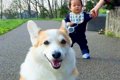 お散歩する０歳の赤…の画像