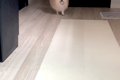 髪ゴムを無くしてし…の画像