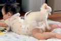赤ちゃんがいる家に…の画像