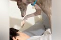 『起きてくださーい……の画像