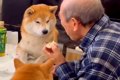 おやつを食べるおじ…の画像