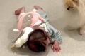 赤ちゃんが一生懸命…の画像