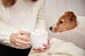 【獣医師監修】犬は…の画像