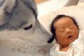 赤ちゃんと初めて会…の画像