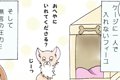 かわうそちわわ。（2…の画像