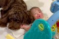 赤ちゃんが『生まれ…の画像