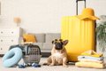 犬と旅行するときに…の画像