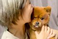 赤ちゃん犬の『甘噛…の画像