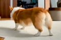 お部屋の中で『おな…の画像
