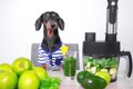 犬に『野菜ジュース…の画像