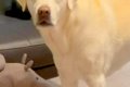 おもちゃが隙間に入…の画像